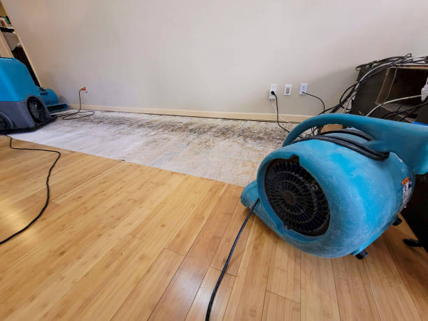 Reliable Flood Damage Restoration contractor in Wyoming, IL by Hirex Water Damage