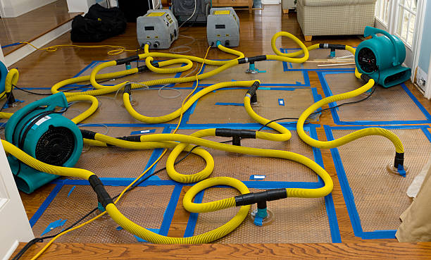 Professional Flood Damage Restoration technician working in Wyoming, IL